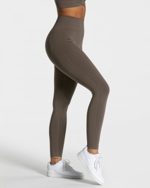 Dámské Legíny Teveo Focus Scrunch Šedé Hnědé | YQZ-7560